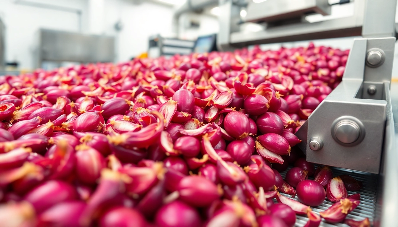 High-quality dehydrated red onion product displayed in bulk packaging with a clean background,